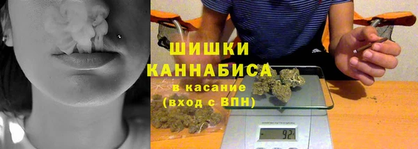 ПСИЛОЦИБИНОВЫЕ ГРИБЫ Алзамай