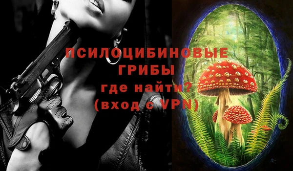 a pvp Алексеевка