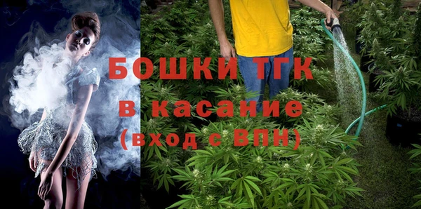 ПСИЛОЦИБИНОВЫЕ ГРИБЫ Алзамай
