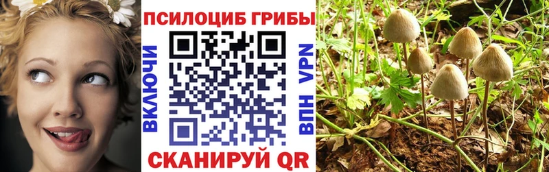 Галлюциногенные грибы мицелий  магазин  наркотиков  Апшеронск 